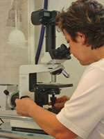 Dunkelfeld-Mikroskopie